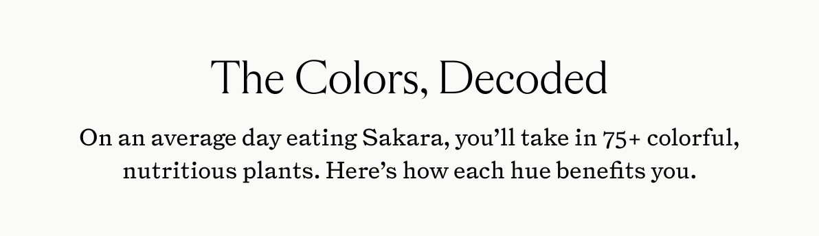 The Colors, Decoded