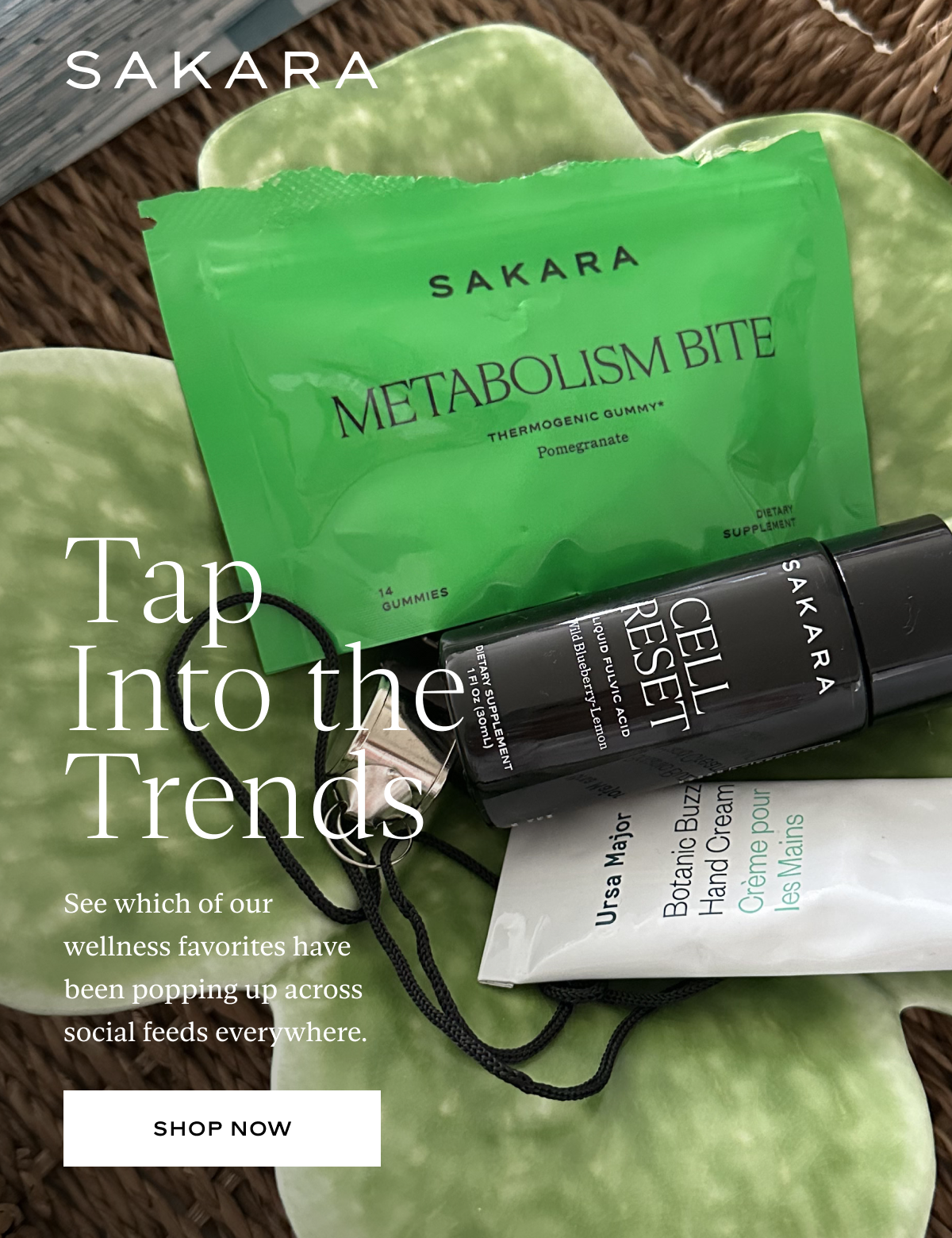 Tap Into the Trends: See which of our wellness favorites have been popping up across social feeds everywhere.