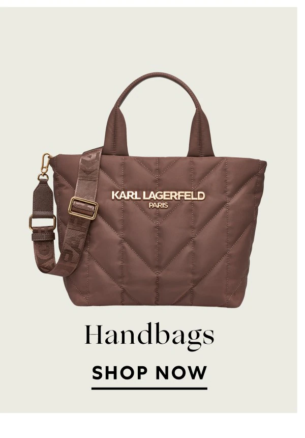 Shop Now Handbags
