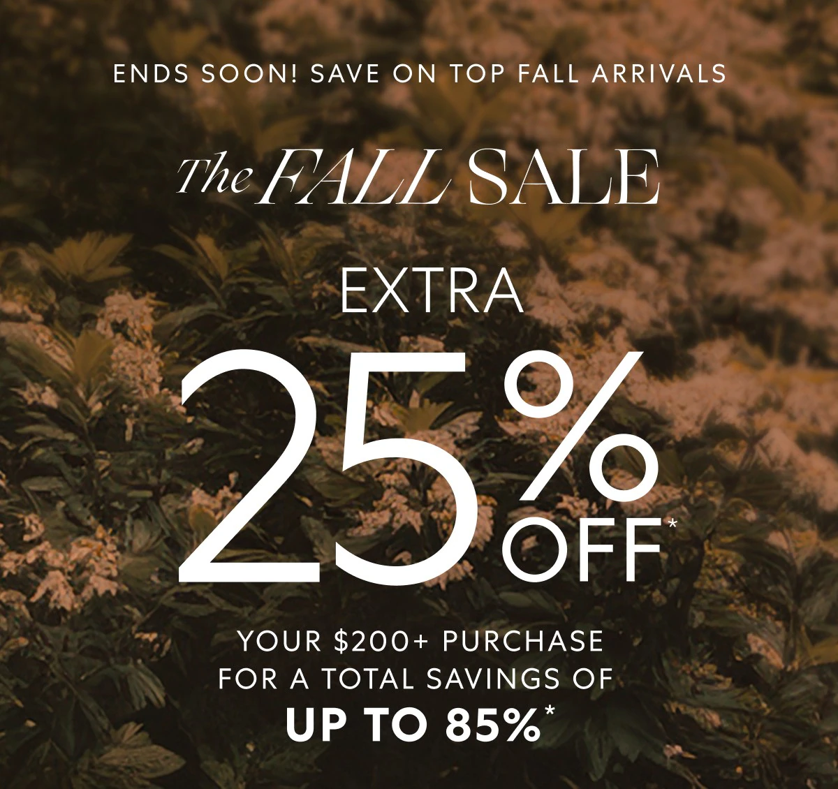 The Fall sale! Up to 25% OFF