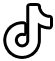 TikTok Icon