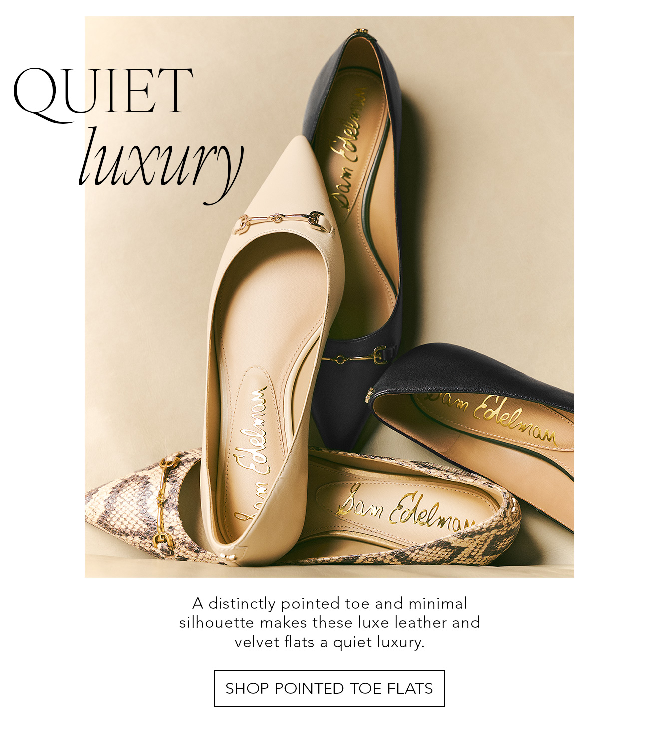 Quiet Luxury | A distinctly pointed tow and minimal silhouette makes these luxe leather and velvet flats a quiet luxury. | Shop Pointed Toe Flats