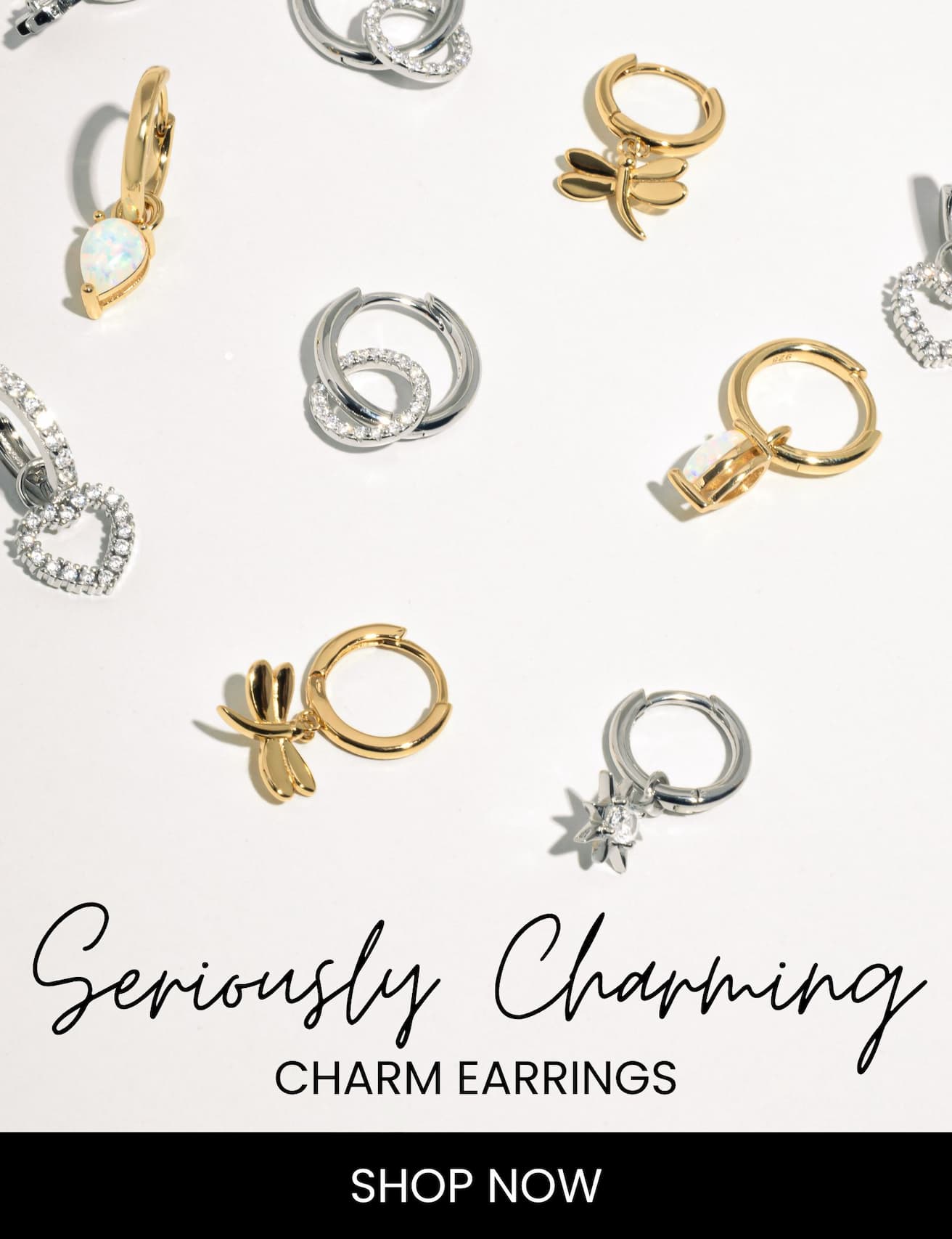 Charm Earrings