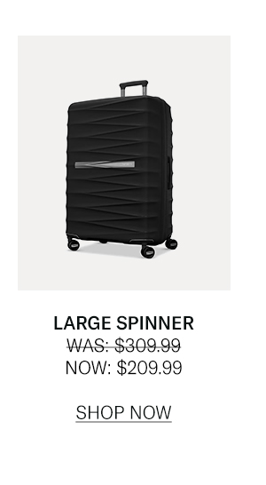 Large Spinner