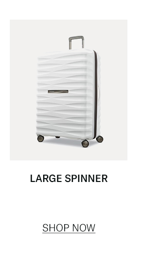 Large Spinner