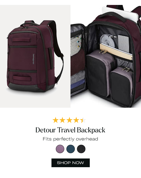 Detour Travel Backpack