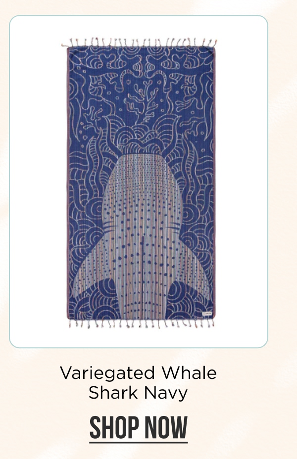 Variegated Whale Shark Navy [SHOP NOW]