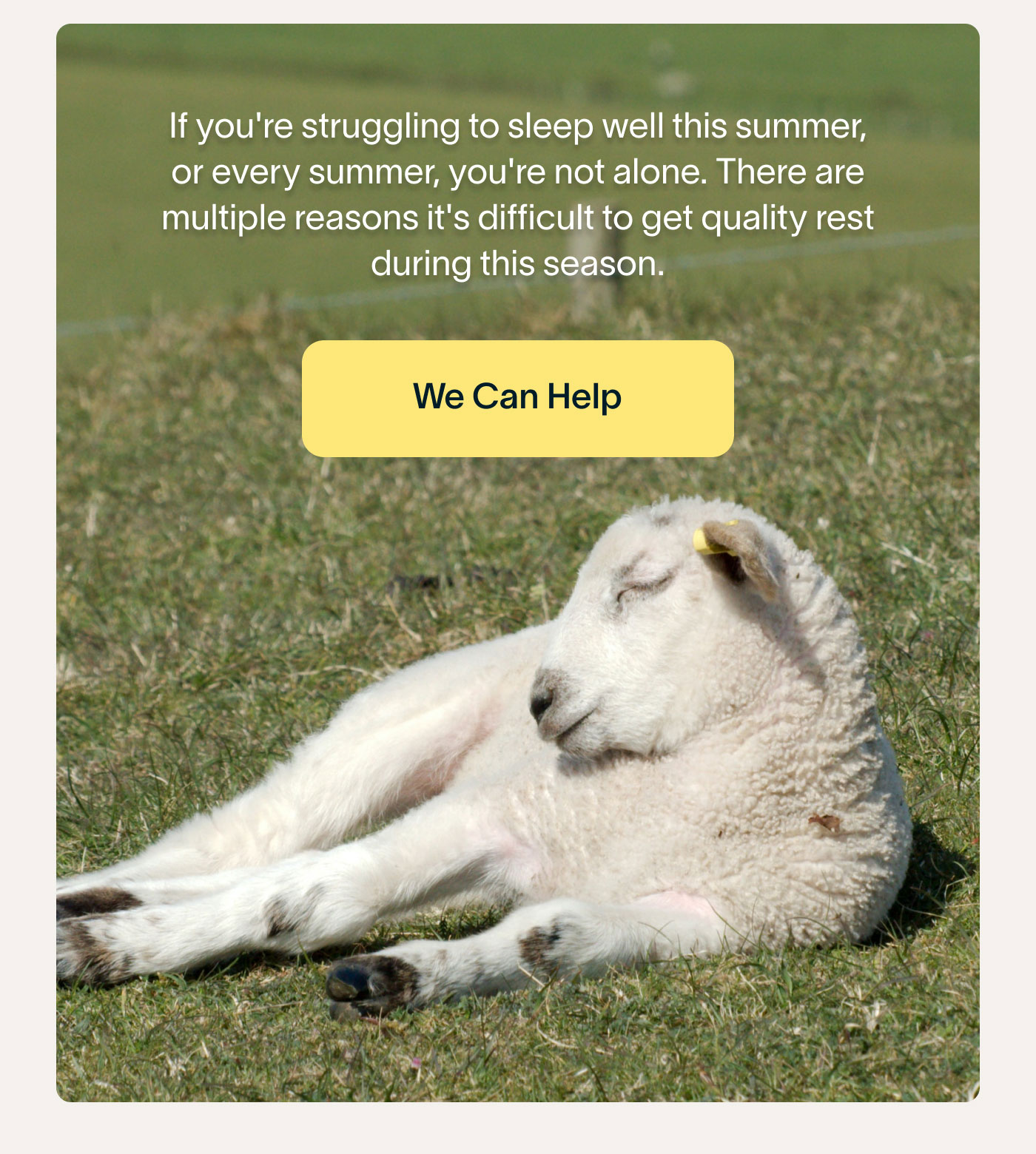 If you're struggling to sleep well this summer, or every summer, you're not alone. There are multiple reasons it's difficult to get quality rest during this season. -- We Can Help