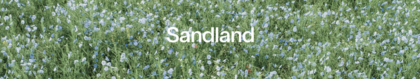 Sandland