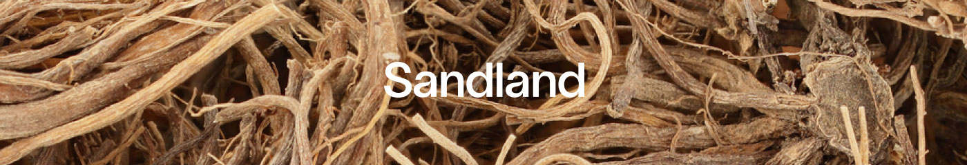 Sandland