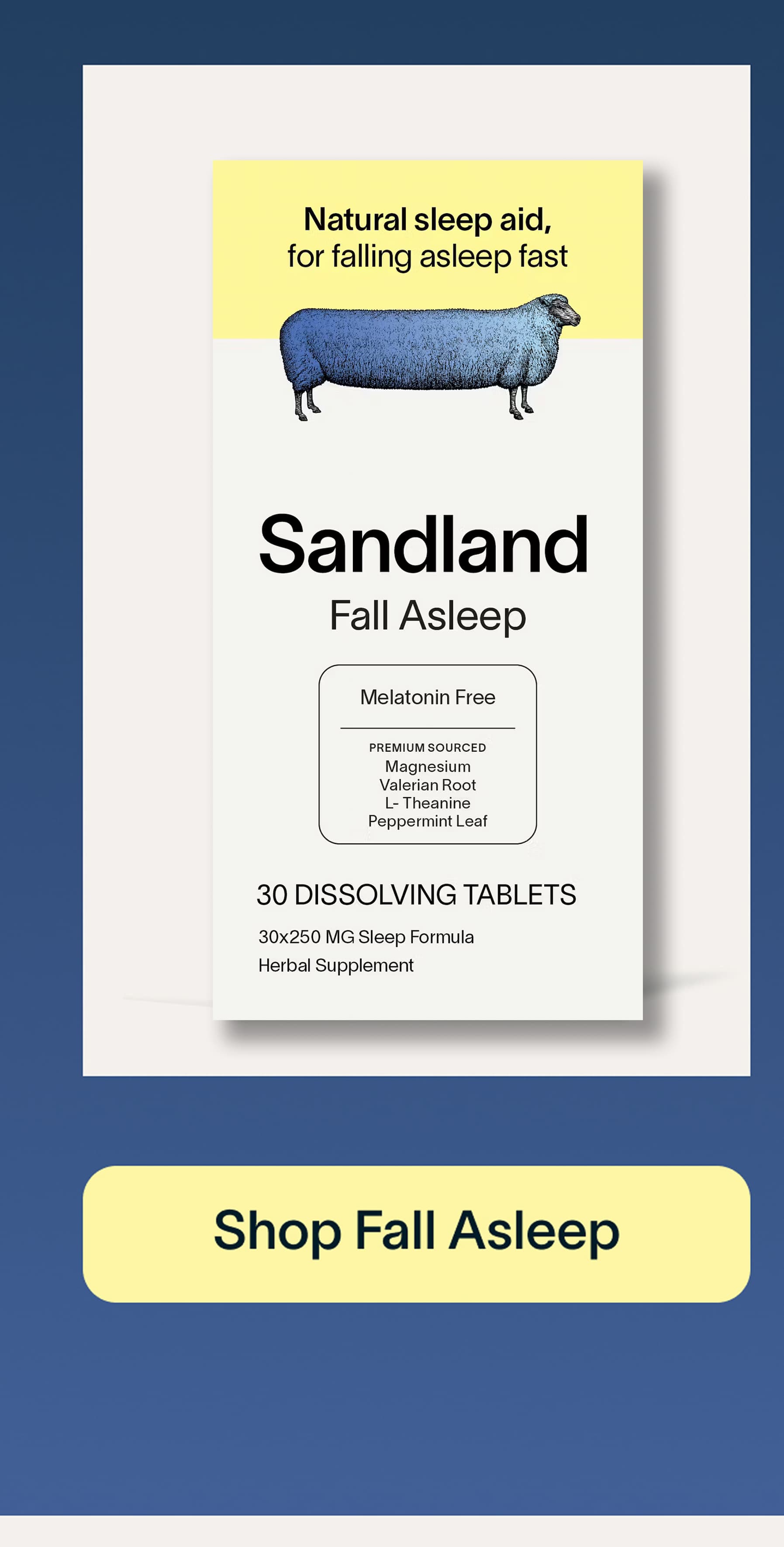 Shop Fall Asleep