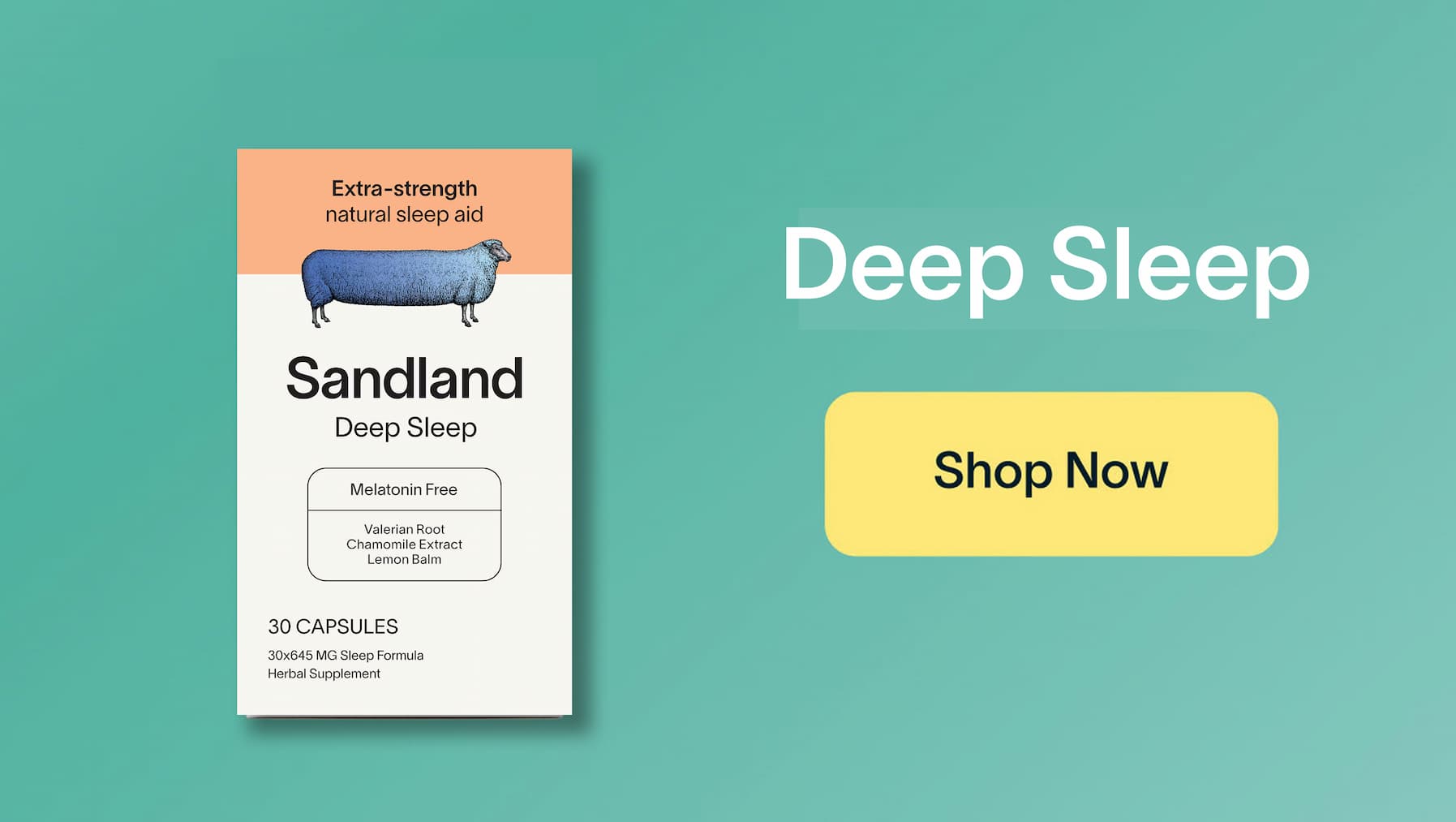 Fall Asleep PLUS -- Shop Now