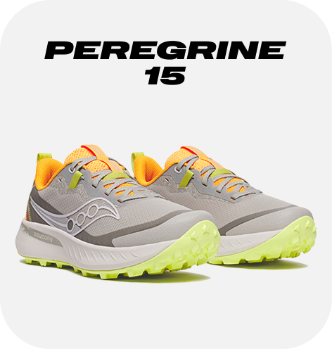 Peregrine 15 img