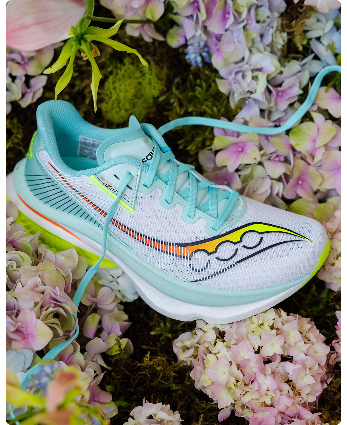 saucony~