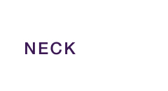 Neck