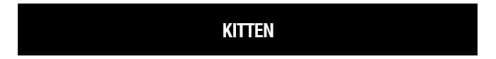 KITTEN