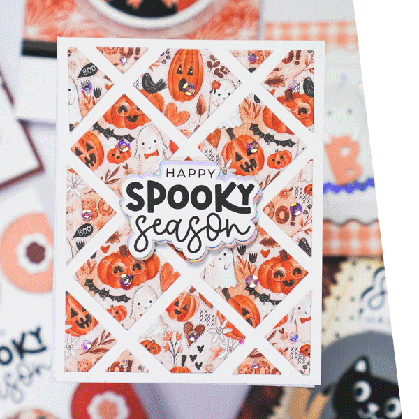 Scrapbook.com New Arrivals
