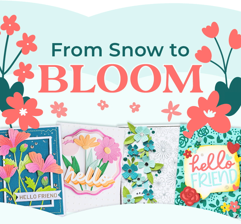 From Snow to Bloom
