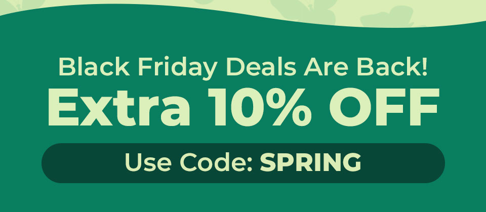 Black Friday Deals Are Back! Extra 10% OFF! Use Code: SPRING
