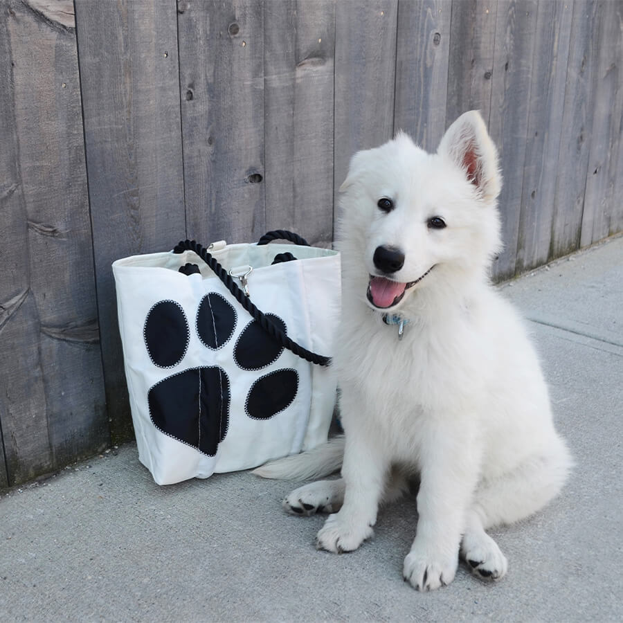 A puppy with the Paw Print Medium Tote