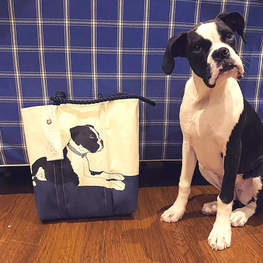 Custom Tote and Dog Inspiration