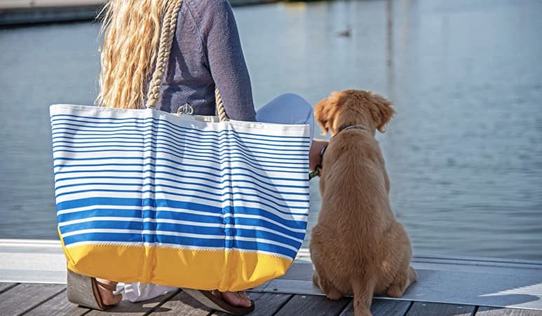 Blue Stripe Ogunquit Beach Tote