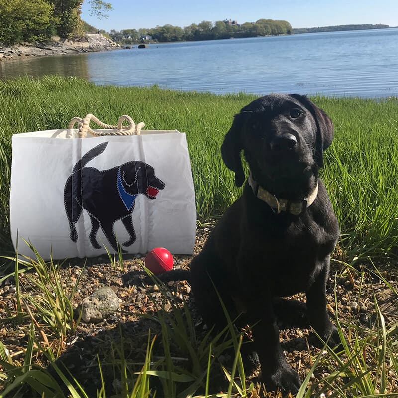 Black Lab Large Tote