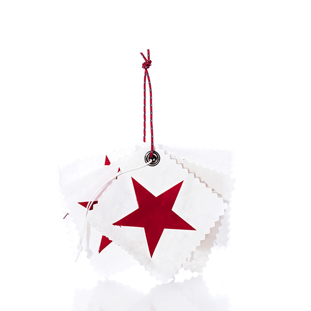 Holiday Gift Tag – Pack of 5