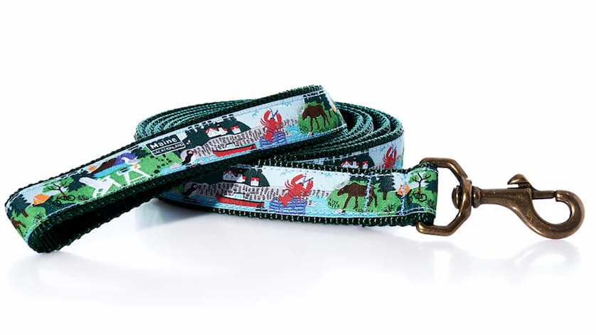 Vacationland Dog Leash