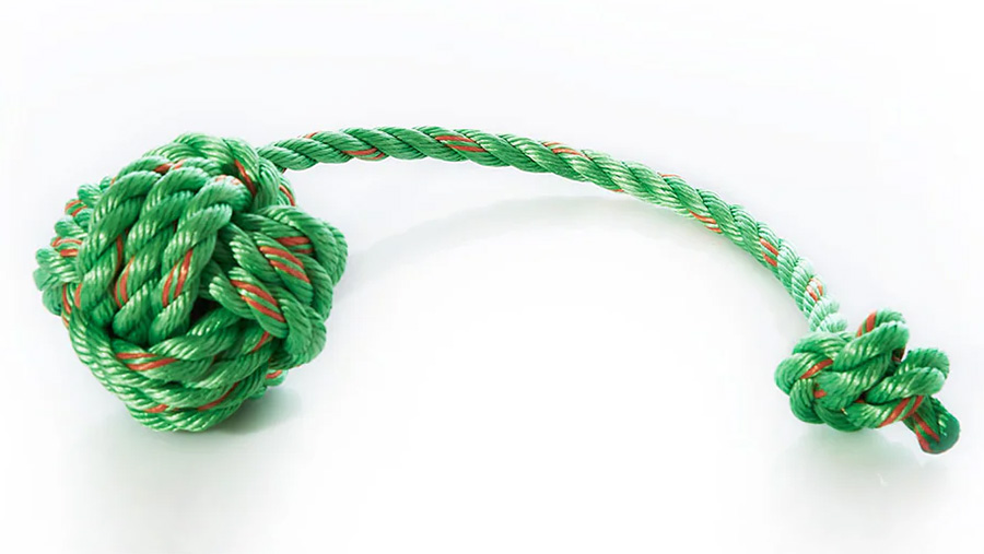 Floating Rope Dog Toy - Green