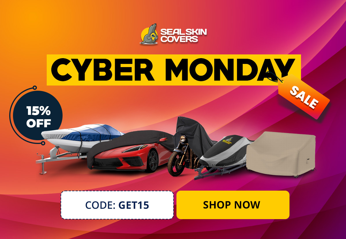 black friday sale