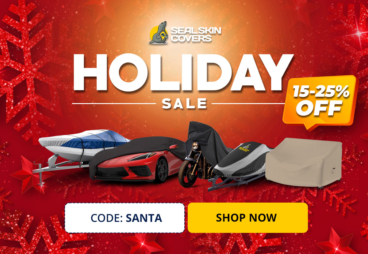 Christmas sale 2025