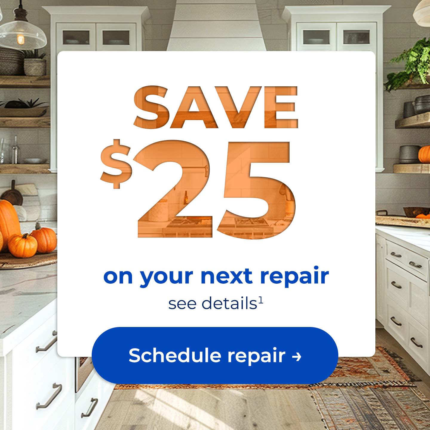 Save $25 on your next repair, see details. Button: Schedule repair