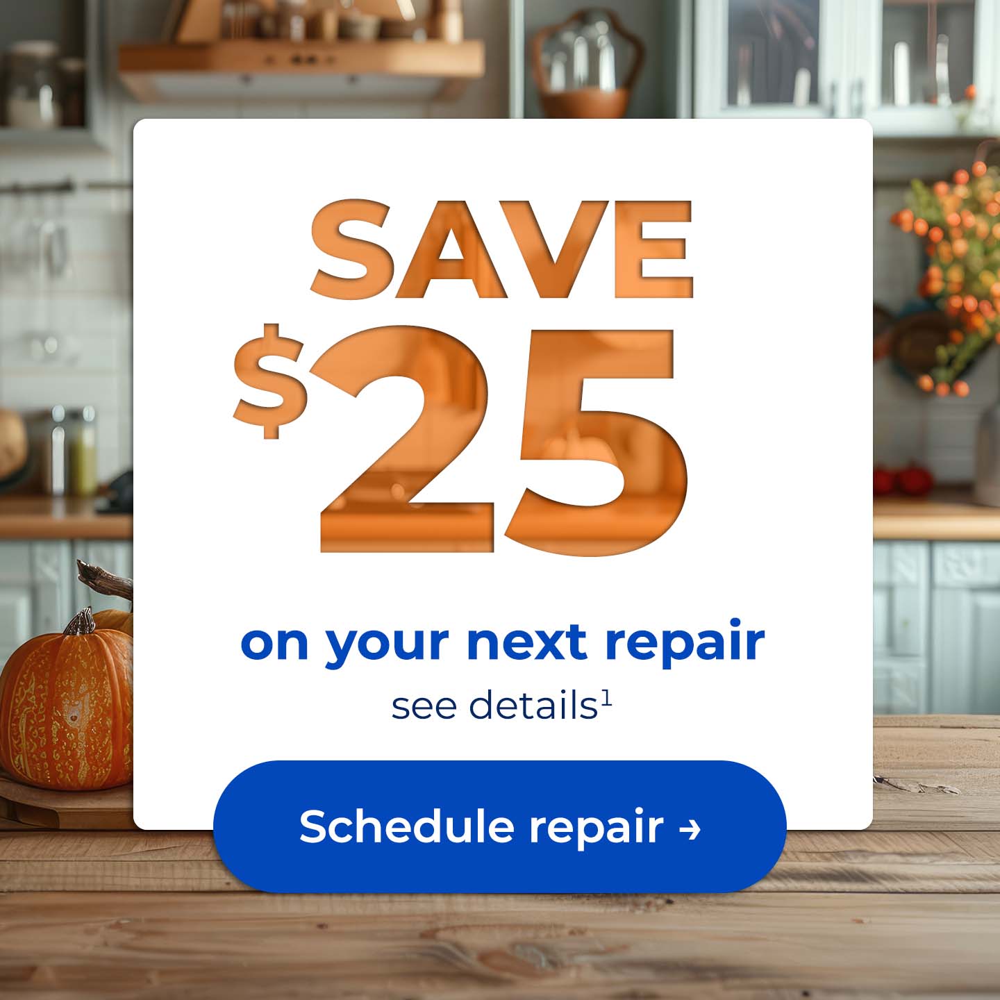 Save $25 on your next repair, see details. Button: Schedule repair