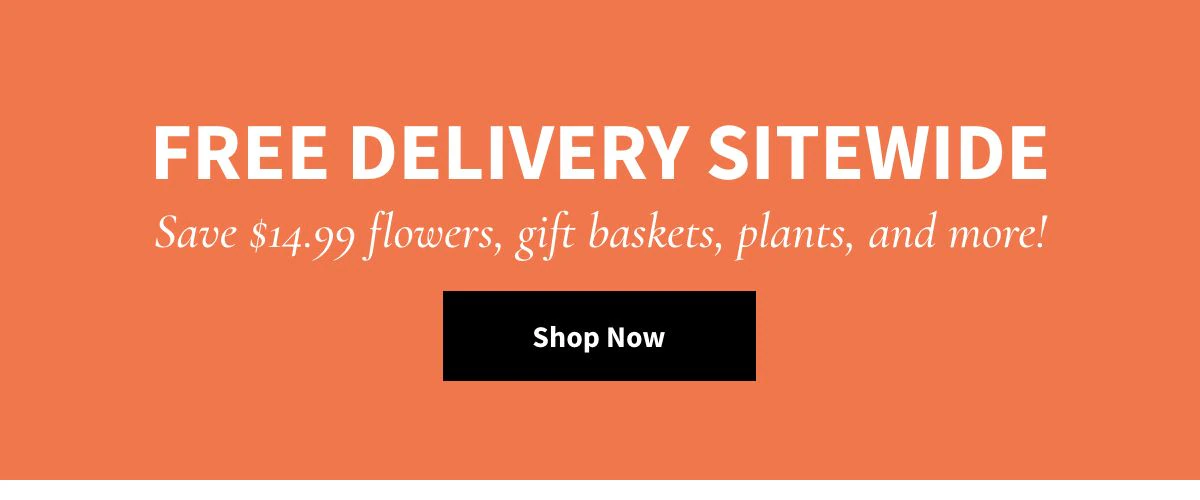Free Delivery Sitewide! Shop Now