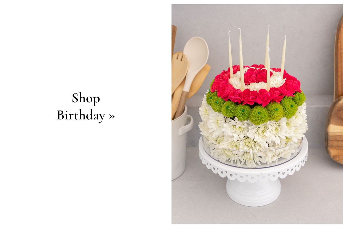 Shop Birthday »