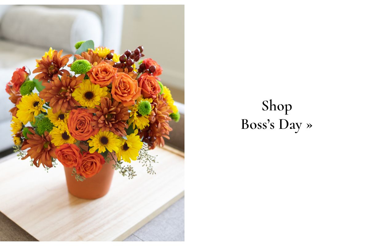 Shop Boss's Day »