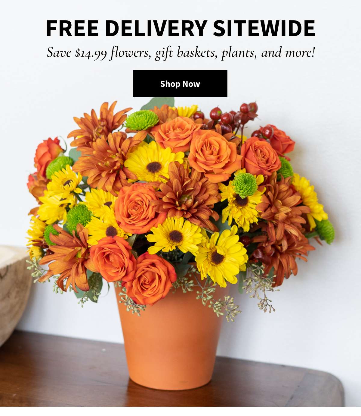 Free Delivery Sitewide! Shop Now »