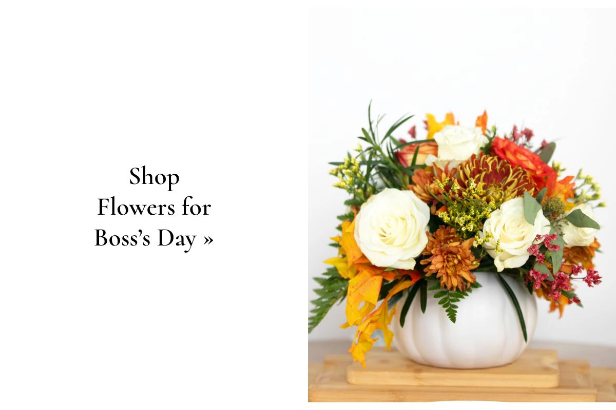 Shop Flowers  »