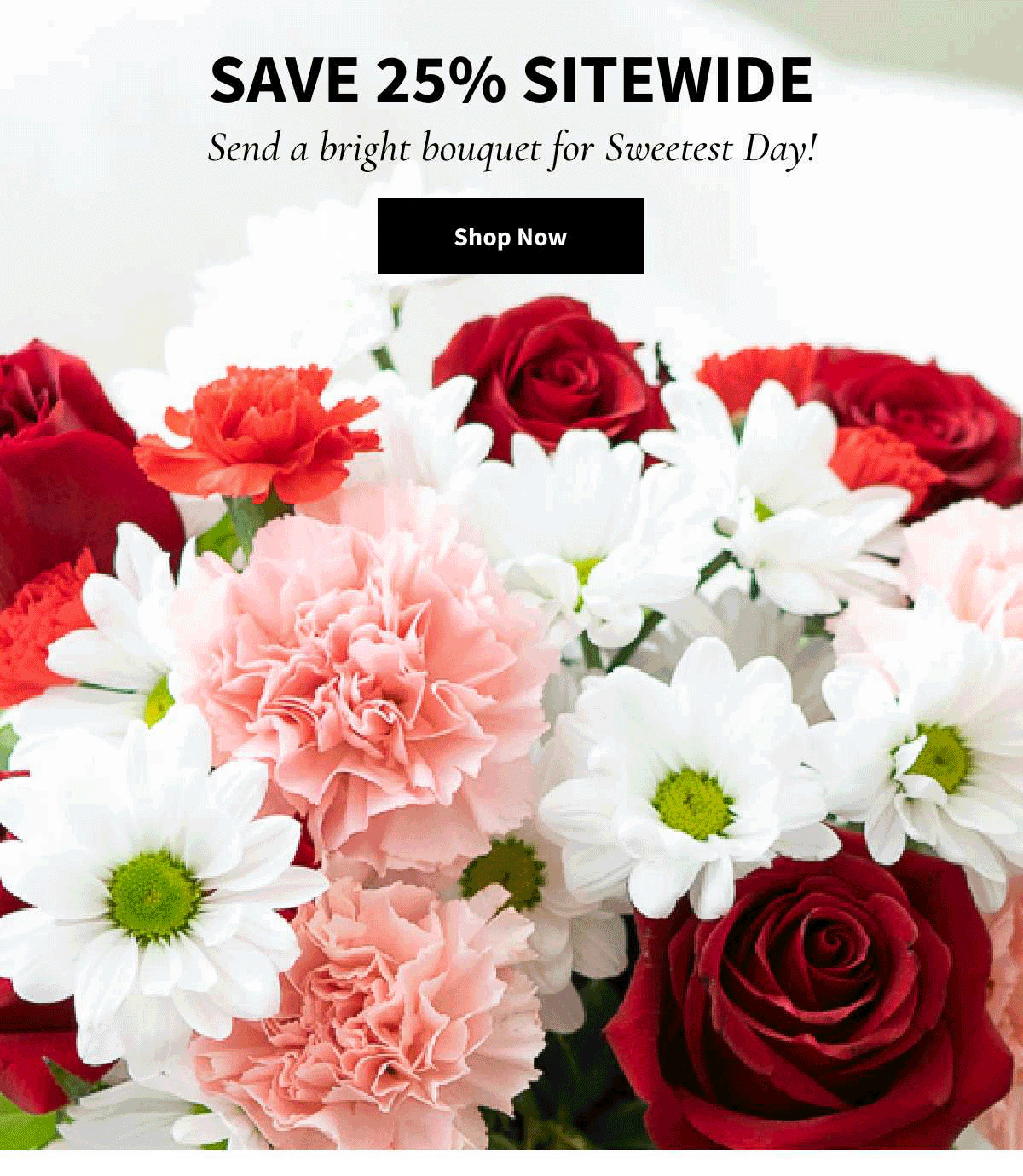 25% Off Sitewide. Shop Now. »