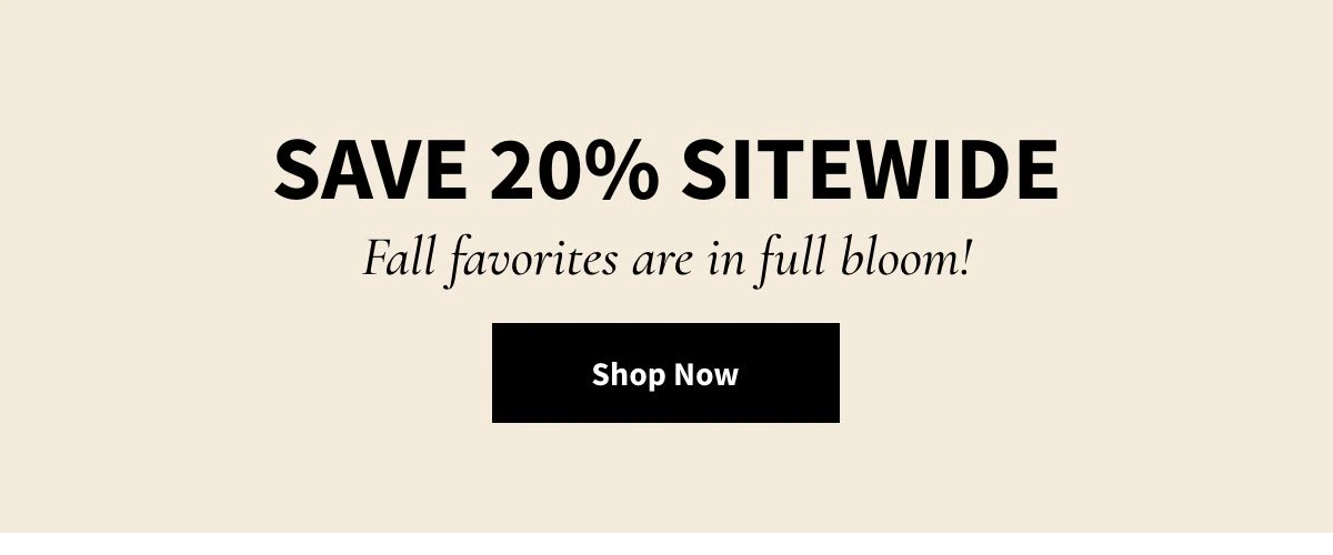 Save 20% Sitewide! Shop Now