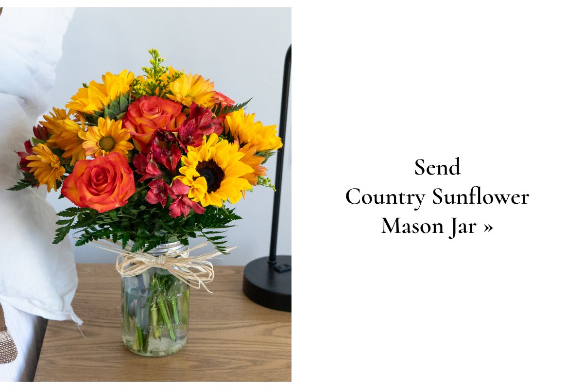 Shop Now »