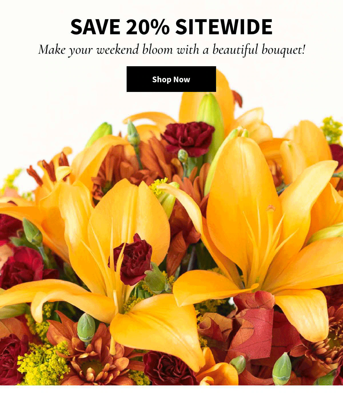 20% Off Sitewide. Shop Now. »