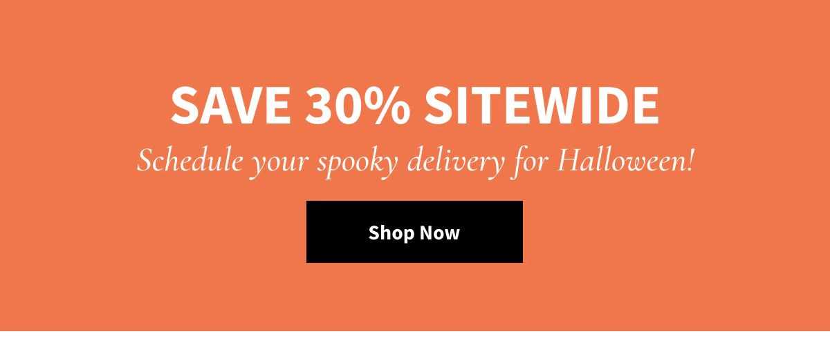Save 30% Sitewide! Shop Now »