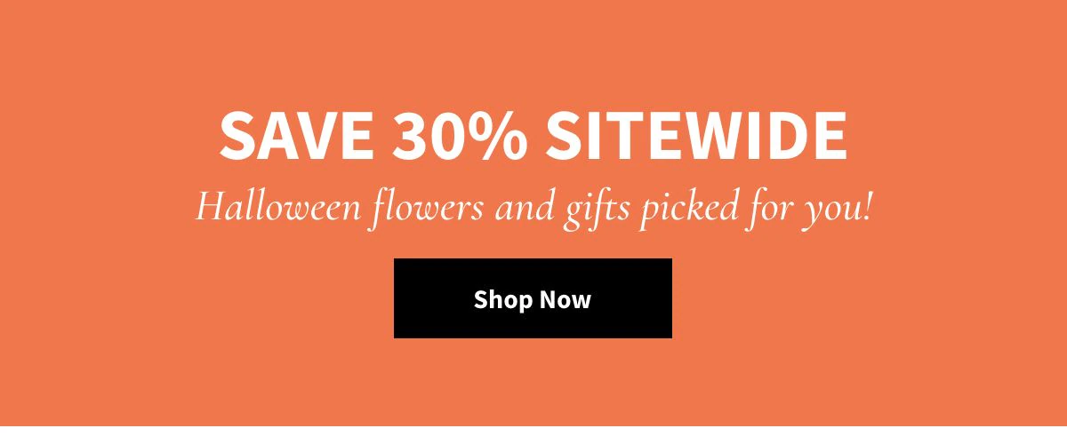 Save 30% Sitewide! Shop Now