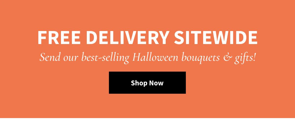Free Delivery Sitewide! Shop Now »