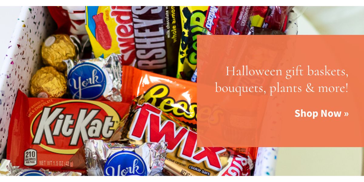 Shop Gift Baskets »