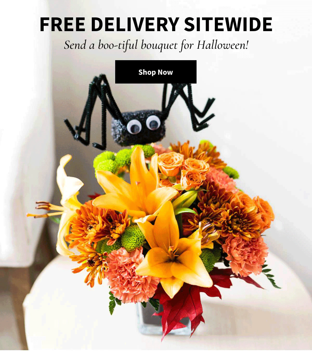 Free Delivery Sitewide! Shop Now »