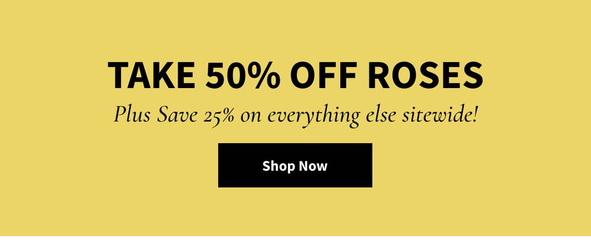 Take 50% Off Roses Shop Now »