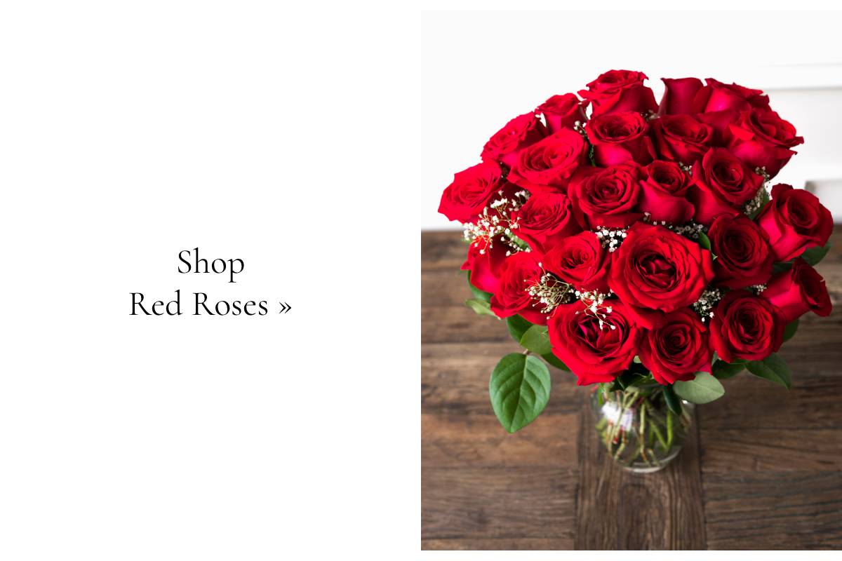 Shop Now »
